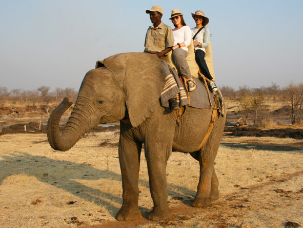 Jehan Begg - out on an elephant back safari with fellow Safari Expert, Mary